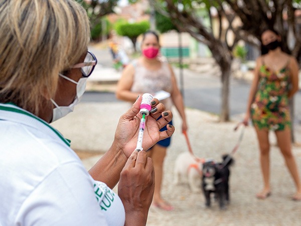 Prefeitura de Várzea Alegre realiza Dia "D" de Vacinação Antirrábica para Cães e Gatos